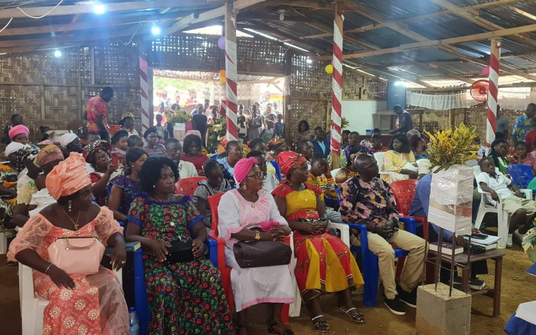More Systems Needed in Liberia